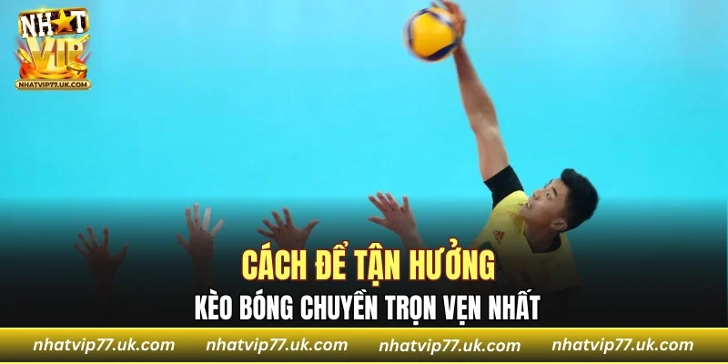Cách để tận hưởng kèo bóng chuyền trọn vẹn nhất