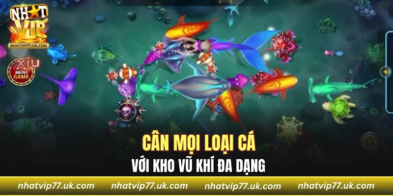 Cân mọi loại cá với kho vũ khí đa dạng