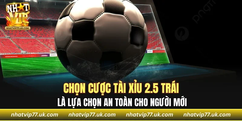 Chọn cược tài xỉu 2.5 trái là lựa chọn an toàn cho người mới