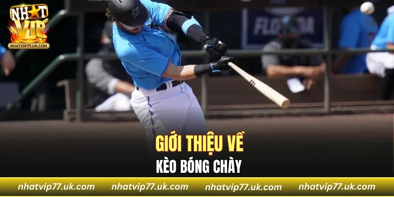 Giới thiệu về kèo bóng chày