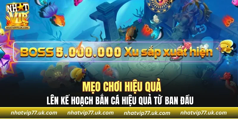 Lên kế hoạch bắn cá hiệu quả từ ban đầu