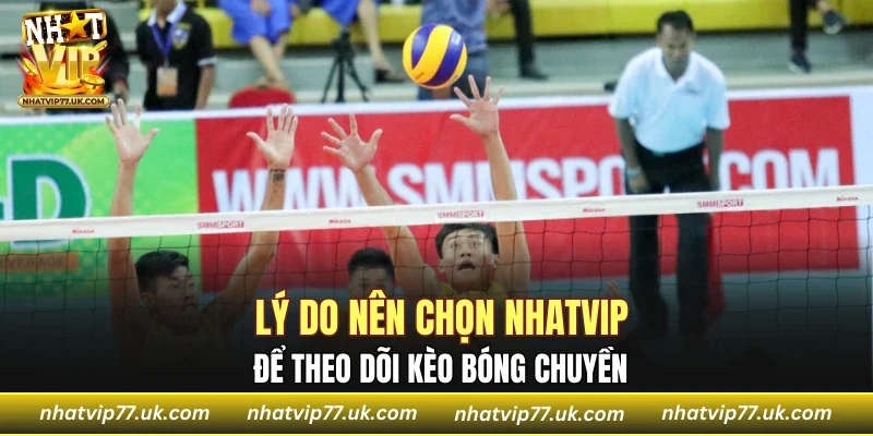 Lý do nên chọn NHATVIP để theo dõi kèo bóng chuyền