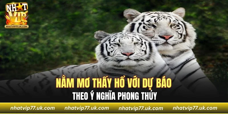Nằm mơ thấy hổ với dự báo theo ý nghĩa phong thủy