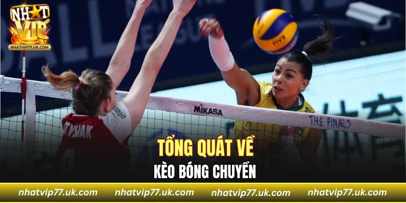 Tổng quát về kèo bóng chuyền